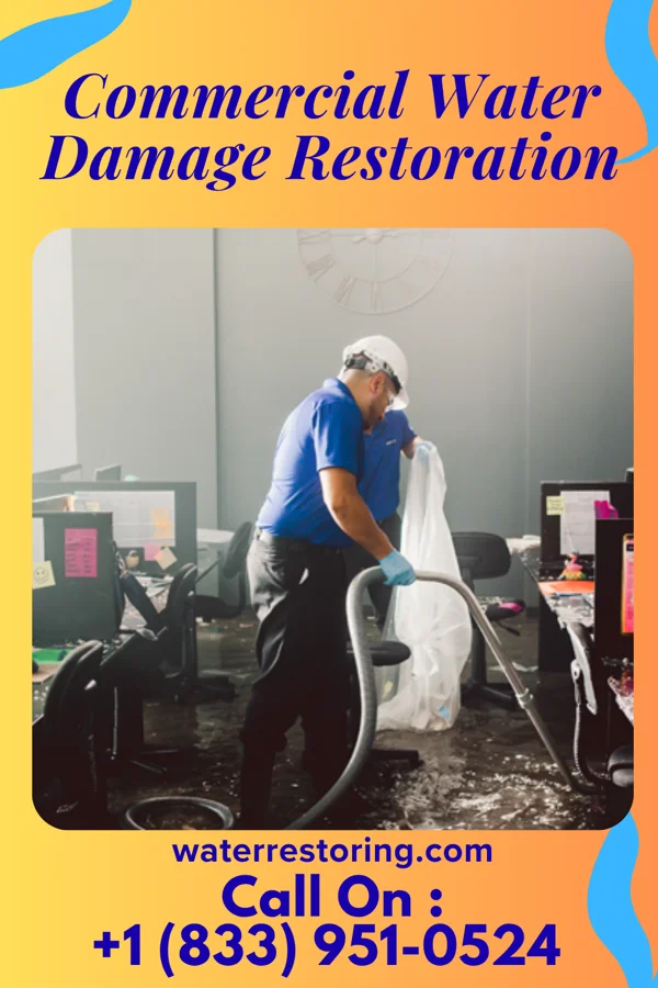 Commercial Water Damage Restoration in Vandalia, MI