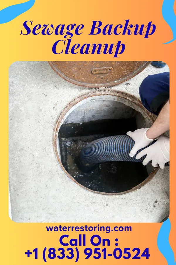 Sewage Backup Cleanup in Vandalia, MI